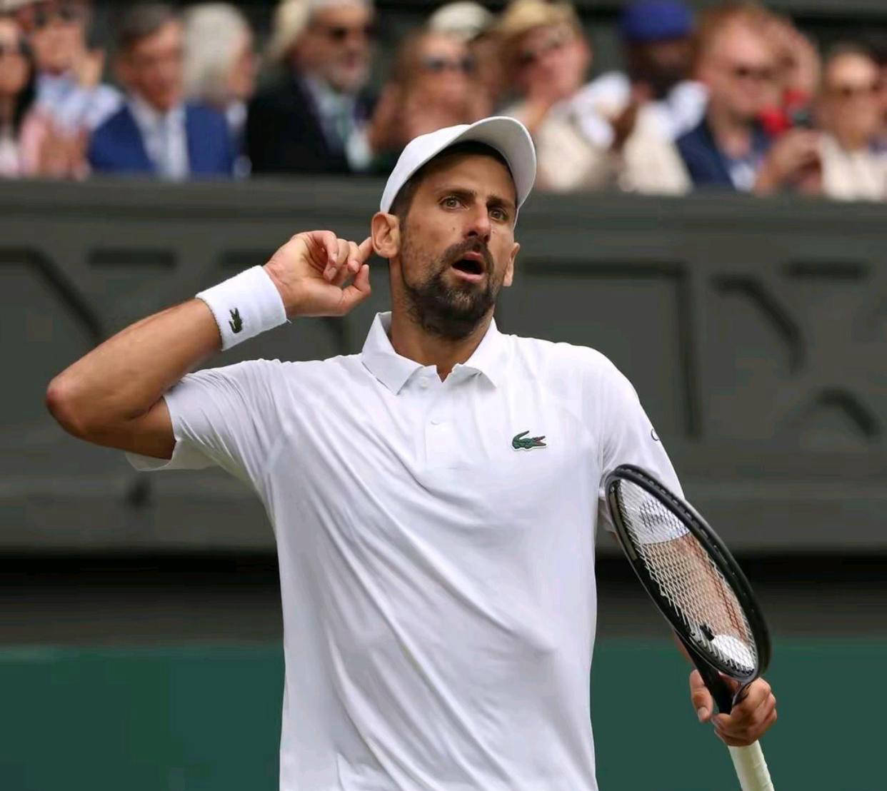 包含世界网球队血洗法国网球队，德约科维奇惊艳世界的词条