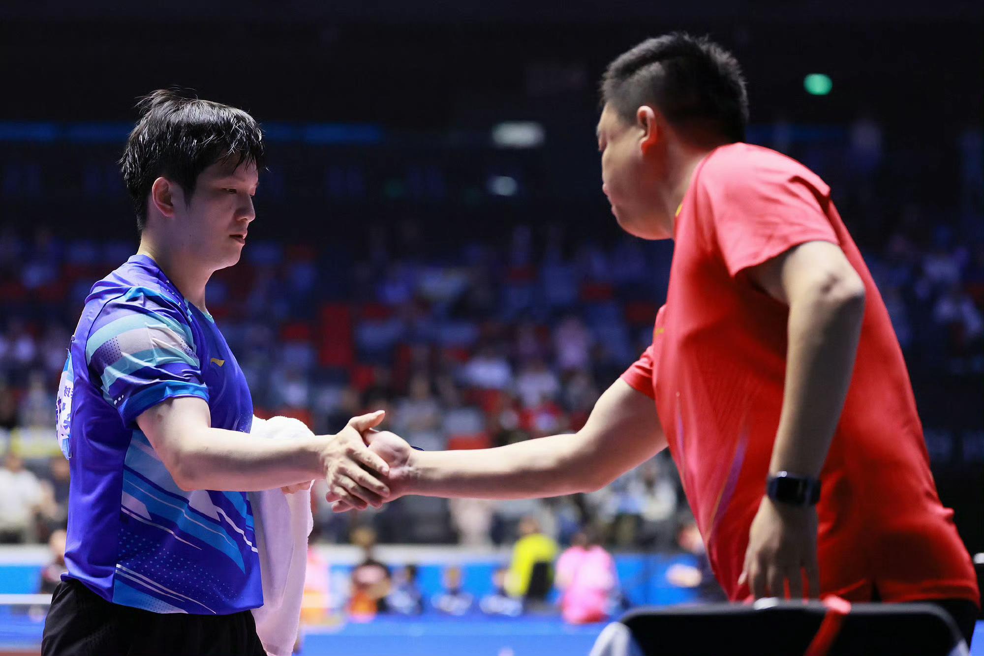 奥地利乒乓球队力克韩国乒乓球队，樊振东爆发神勇的简单介绍