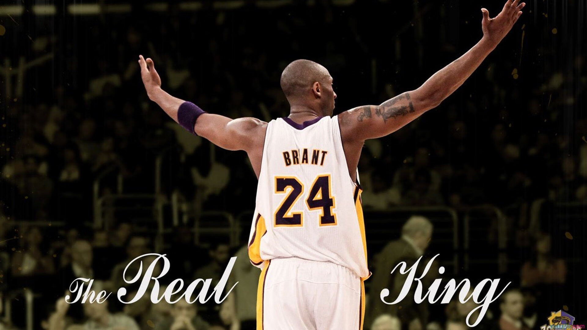 戈贝尔完成自我救赎,国王决胜局力克尼克斯