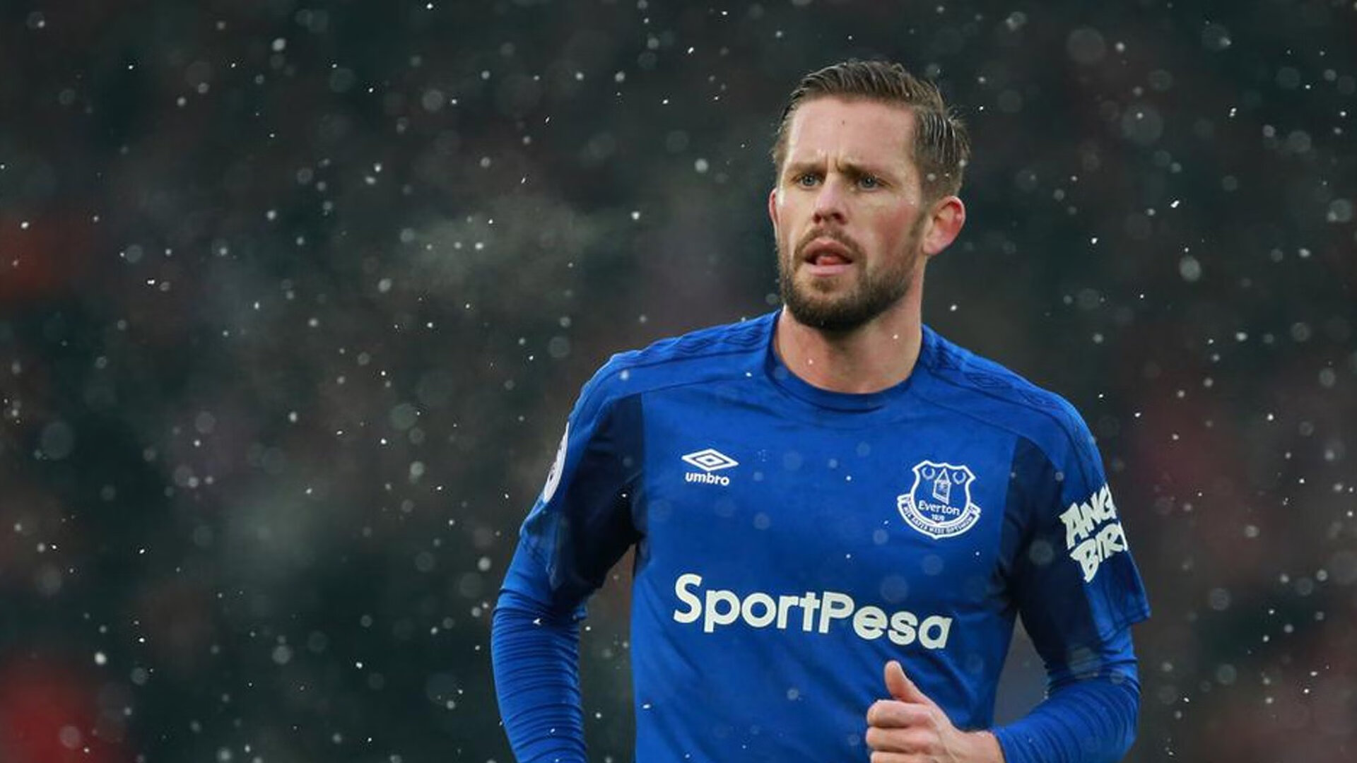 武切维奇关键回合不手软,广东队强势晋级辽宁队